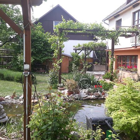 Pension Zeleny Strom Микулов Екстериор снимка